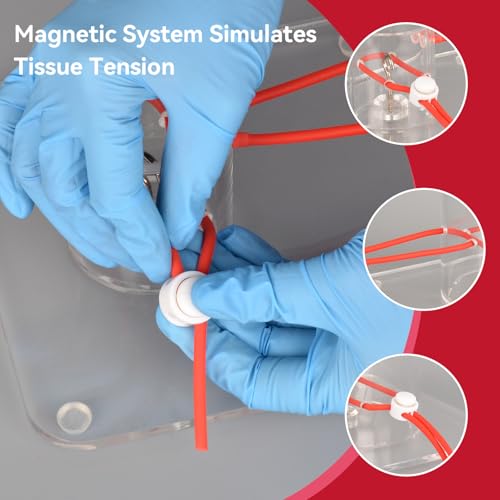 Image of Medarchitect Surgical Knot Tying Trainer Kit,Dual-Container,Surgical Suture Simulator Tool for Medical Students,Medical Students to Master Knotting Techniques