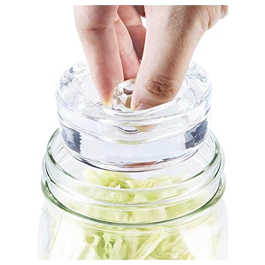 4-Pack of Fermentation Glass Weights with Easy Grip Handle for Wide Mouth Mason Jar