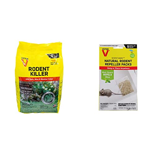 The Best Victor Rodent Killer In 2022