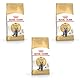 Royal Canin British Shorthair Adult | 3er Pack | 3 x 400 g | Alleinfuttermittel für British Shorthair Katzen | Speziell für Britisch Kurzhaar Katzen entwickelt | Ab dem 12. Monat