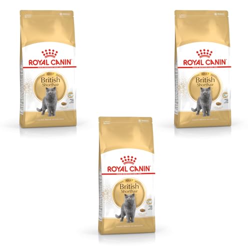 Royal Canin British Shorthair Adult | 3er Pack | 3 x...