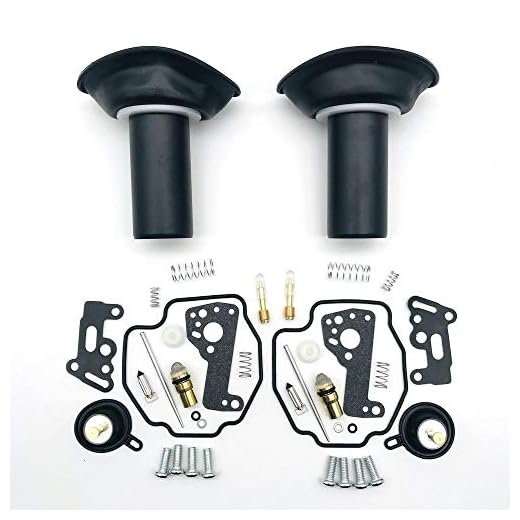 Carb Rebuild Kit Motorcykel Förgasare Reparation Kit Plunger Membranpackning för Yamaha Virago XV535 1990-2001 XV 535 (2Set) Carburetor rebuild kit och delar