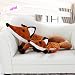 Ksydhwd Plush Toy 1 Uds 40cm El Principito Lindo Zorro Juguetes De...