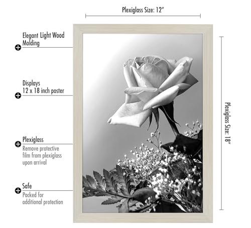 Americanflat 12x18 Poster Frame with Polished Plexiglass - Wide Picture Frames Made of Engineered Wood for Vertical or Horizontal Wall Display - Epic Collection - Light Wood