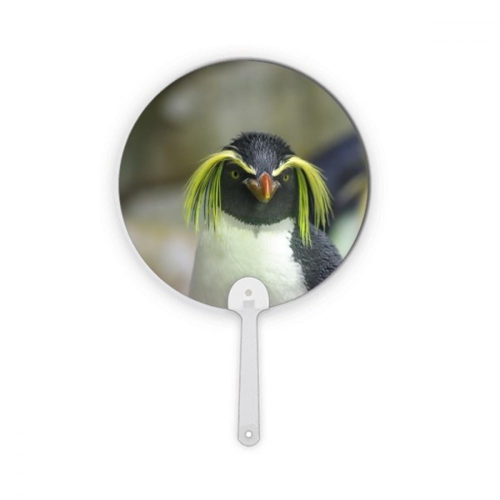Décoration ronde pingouin antarctique image plastique pour bureau