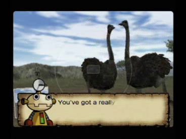 Image of Animal Kingdom: Wildlife Expedition - Nintendo Wii