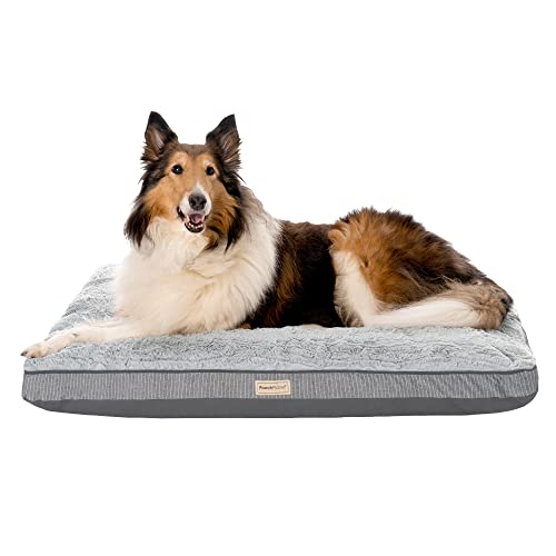 Top 10 PoochApproved Dog Beds A Comprehensive Buying Guide Furry Folly