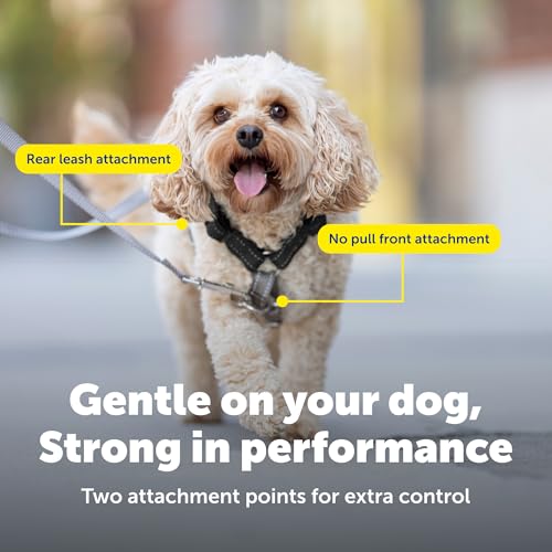 PetSafe Easy Walk 3 in 1 Harness with Two Point Control Leash, Black, Large - image 4