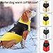 YOUYIKE Hundemantel für Hunde, Hundekleidung, Hundemantel Wasserdicht Hundejacke Winter Warme Jacke für Kleine Mittelgroße Hunde Hundebekleidung Warm Haustier Kleidung für Kaltes Wetter (Gelb, XL)