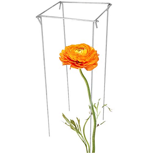 Preisvergleich Produktbild KADAX Pflanzenhalter, Pflanzenstütze aus Stahl, Stabiler Staudenhalter, solide Strauchstütze für Garten, Rosen, Efeu, Farn, freistehend, Buschstütze, wetterfester Staudenhalter (Höhe: 80cm)