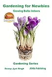 Gardening for Newbies - Growing Bulbs Indoors (Gardening Series)