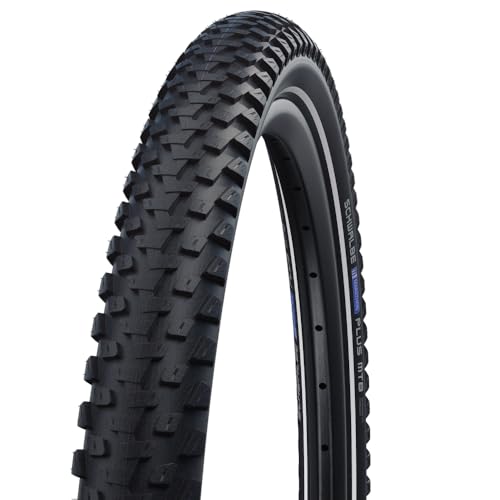 Schwalbe