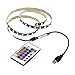 USB Kit de Ruban à LED 5V 5050 60SMD / M RVB,LED Bande Flexible non Etanche Strip + USB Télécommande, Chambre à coucher, pour Home Led Lighting Barres,Rétro-éclairage TV (50CM)