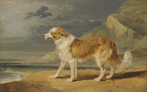 Affiches et gravures peinture moderne Collie à poil rugueux impression sur toile