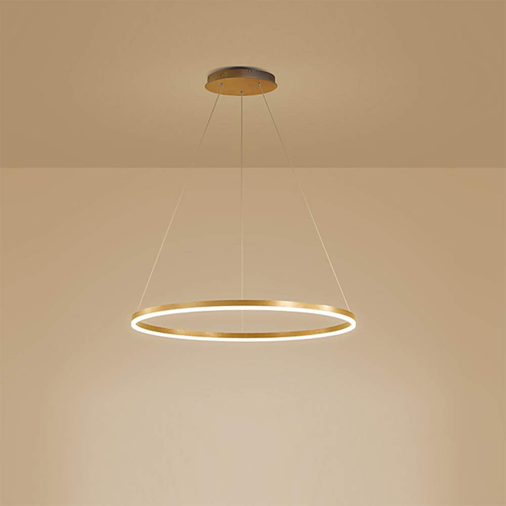 1-Light Single Circle Pendant Light Nordic Modern Ring Chandelier Suspended Adjustable LED Hanging Lamp For Living Room Bedroom Dining Room,Gold+Stepless Dimming-60CM 38W