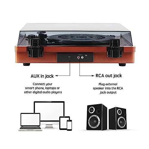 Amazon.co.jp: ホファインス: レコードプレーヤー