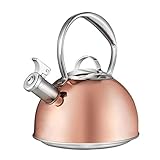 Qazxsw Hervidor de Agua doméstico, Acero Inoxidable 304 Mango Anti-escaldado de Grado de Cocina Ambiental y Tetera con Espejo