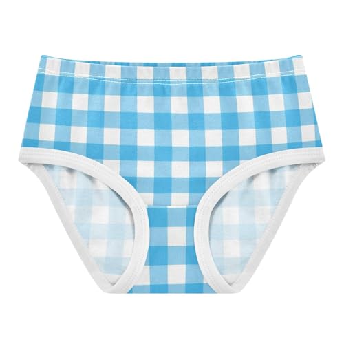 Blue White Buffalo Checkered Plaid Toddler Girls's Underwear 2T 2300873