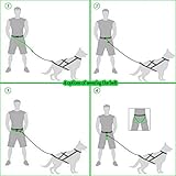 Dingo Canicross Gürtel 4-in-1 Universal, verstellbar, sicher, reflektierend, multifunktional zum Laufen, Sport, Joggen, Training, Schwarz 12780-2