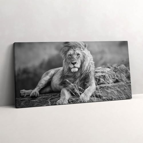 Tableau photo sur toile lion 140x70cm pour créer une ambiance safari chic dans votre salon