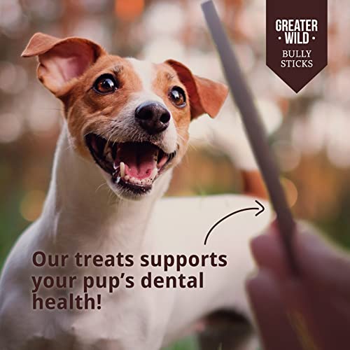 Greater Wild 6 Inch Bully Sticks Dog Treats, 10 Pack, Standard Thickness - Single Ingredient 100% All Natural Beef, Long Lasting Dog Chews #TOP4