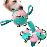 MADINE Interactive Flying Disk Ball Dog Toy -, Flying Discs Ball, Flying Saucer Ball Dog Toy, Pet Toy Flying Discs,Interactive Outdoor Flying Ball Dog Toy for Aggressive (Pink Lake Blue)