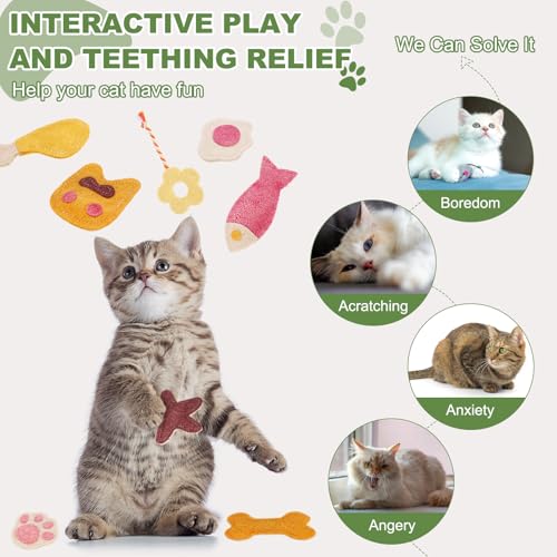 Jouet chat herbe à chat résistant pour stimuler l'instinct de jeu - 13