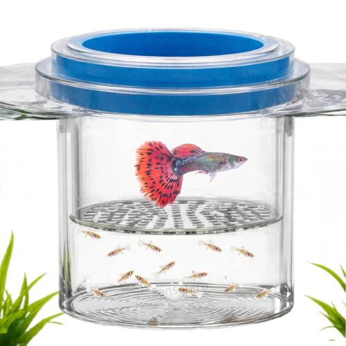 Image of SANSEFERO Floating Breeder Box for Fish Tank in Double Layer Foam Collar Floating Incubator for Aquarium with Clear View Fry Protection Fish Breeder Box for Betta,Guppy & Small Fishes (12 Cm)