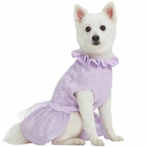 Pull chien lavande 35.6cm idéal pour sorties et photos