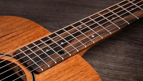 Image of Taylor BT2 - Mahogany Top