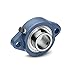 Flange Bearing, 2-Bolt, Ball, 3/4" Bore