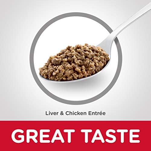 Hill's Science Diet Kitten Canned Cat Food 6 Hill's Science Diet Kitten Canned Cat Food