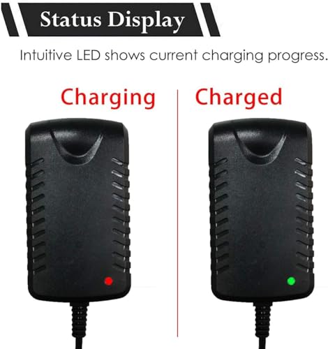 Image of Wishmaster Kids Ride On Bike Charger for All Types 12V