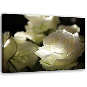 Feeby Canvas Schilderij 1-delig 120×80 Wanddecoratie XXL op Canvasdoek Kunstdruk Fotoprint Canvas Muurdecoratie Roos Rozen Bloemen Beige Wit