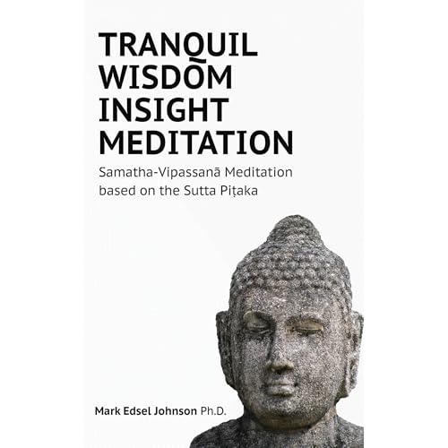 Enjoy TRANQUIL WISDOM INSIGHT MEDITATION from Mark Edsel Johnson PhD episode artwork