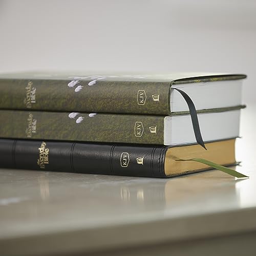 Kjv, the Everyday Bible, Hardcover, Red Letter, Comfort Print: 365 Daily Readings Through the Whole