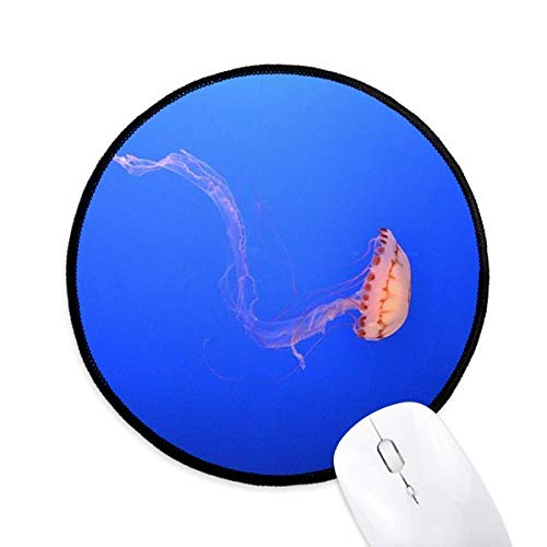 CmNQȊw͎R̎ʐ^ EhEmXbvE}EXpbhEubNtitched[Q[ItBX蕨