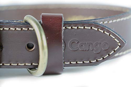 Collares Y Correas, Pet Products Imagen adicional