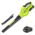 SnapFresh Leaf Blower, 20V Cordless Leaf Blower with 2.0Ah Battery & Fast Charger, 2 Speed Mode, Lightweight Electric Leaf Blower for Lawn Care, Leaf Blower for Patio Yard Sidewalk