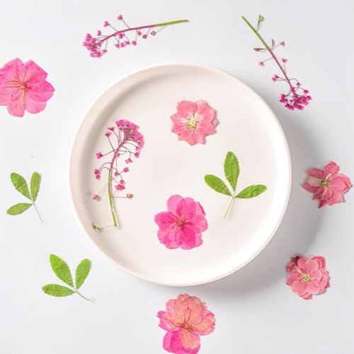 Flores prensadas secas para manualidades miniatura 6