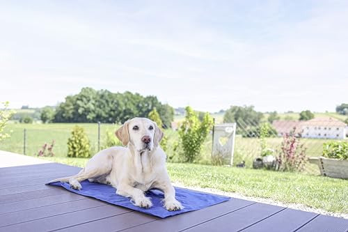 Kerbl Pet Kühlmatte Cool-Relax für Hunde (Farbe blau, LxB 50x40 cm, mit Kühlgel, funktioniert ohne Strom, selbstkühlend, robust, für drinnen, draußen und unterwegs, Kühlkissen, Tierzubehör) 80841