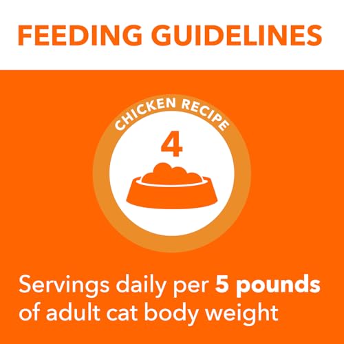 Amazon.com: IAMS: Wet Cat Food