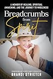 Breadcrumbs from Spirit: A Memoir of Healing, Spiritual Awakening, and the Journey to Wholeness