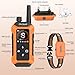 Orcleab Shock Collar with Remote Control for Dogs, IP67 Waterproof Collar with Beep, Vibration, Safe Shock, Flashlight, Shock Collar for Dogs E-Collars for All Breed (10-120Lbs)