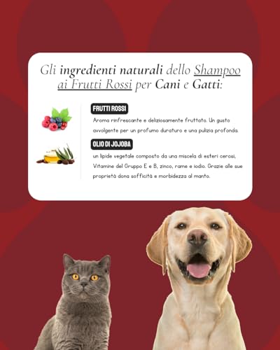 Jojoba Hundeshampoo Rote Früchte, Konzentrat, antiallergisch, weich und hell, pflegendes Shampoo, sanftes Shampoo, ideal für Hunde, kurzes Fell und langes Haar, 250 ml (Duft rote Früchte)