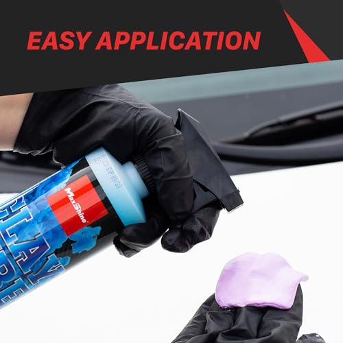 Maxshine Clay Lube Spray & Clay Bar Kit : Best Complete Clay Bar Kit? - Image 6