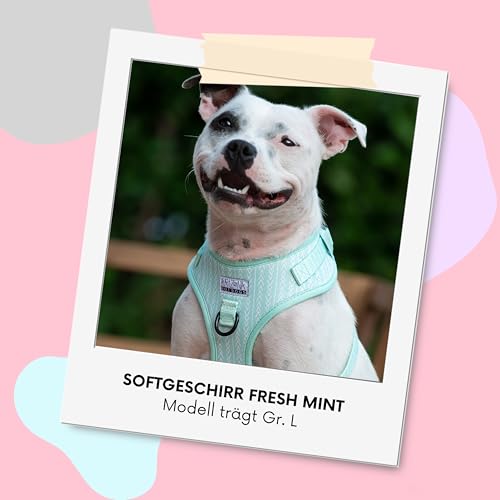 Hundegeschirr für kleinere Hunde | Arizona Hotdogs Softgeschirr Fresh Mint | Grün (S)