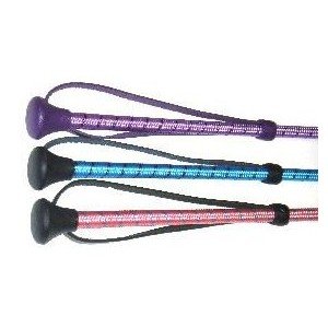 William Hunter Equestrian 5055721703544 Cravache Scintillante pour Enfant avec Bouton Champignon et dragonne Couleurs : Rose, Lilas, Violet, Noir, Bleu Roi Cover