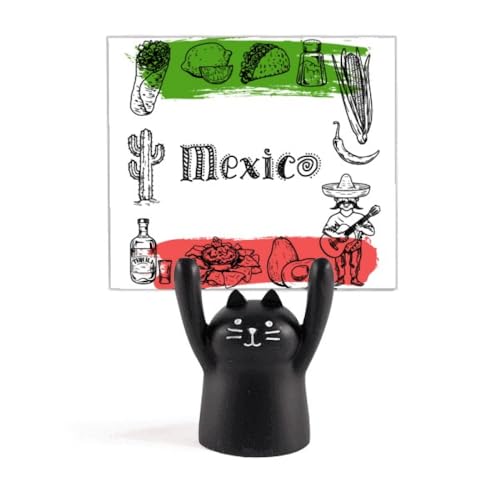 LVR̃T{ẽXPb` J[gD[LX^h^z_[