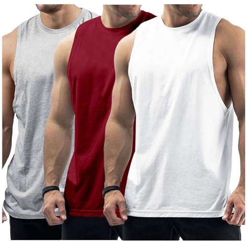 Mens Workout Tank Tops Sleeveless Muscle Cut Off Gym Shirt-GY+WNRD+WT-L